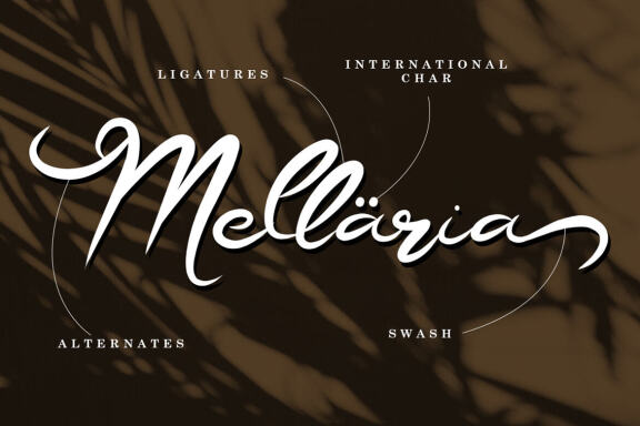 BETTARHIYA | MODERN SCRIPT FONT
