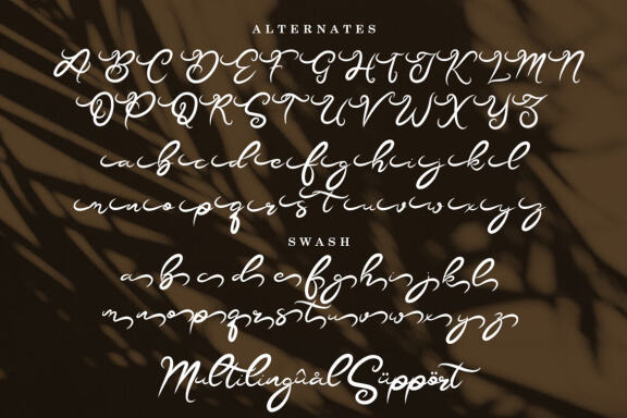 BETTARHIYA | MODERN SCRIPT FONT
