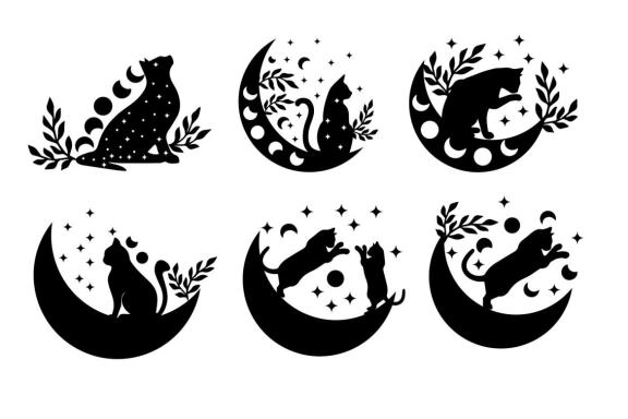 Cat & moon svg design