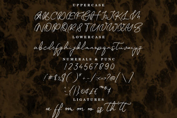GATUSSO | MODERN SIGNATURE FONT
