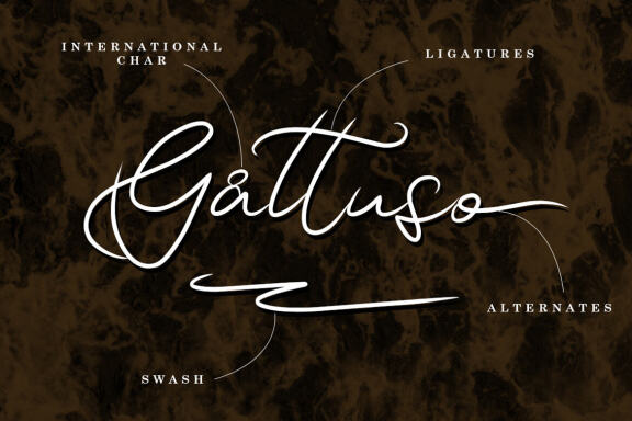 GATUSSO | MODERN SIGNATURE FONT