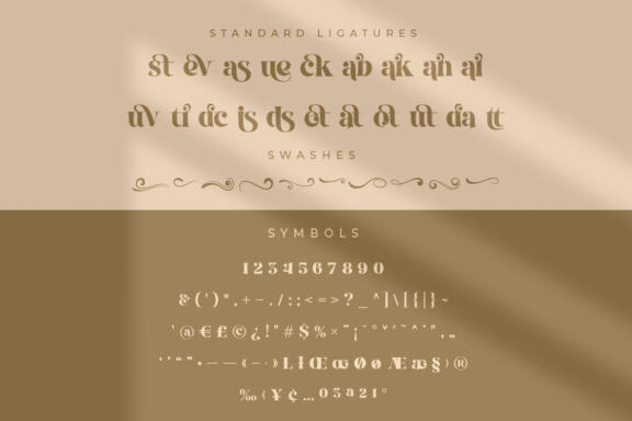 Break Love | Classy Retro Font