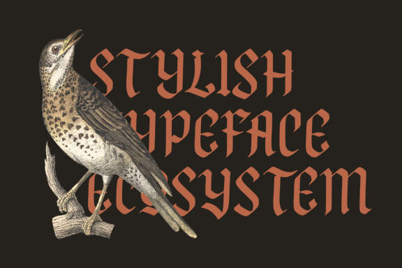 NCL FEGAKINES - Unique & Stylish Blackletter 
