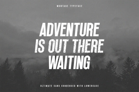 Montage Sans FREE Demo Font