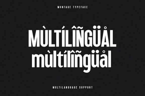 Montage Sans FREE Demo Font