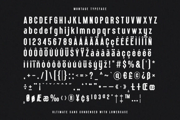Montage Sans FREE Demo Font
