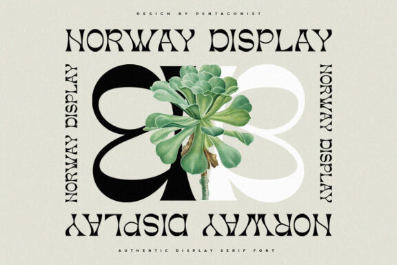 Norway Display FREE Demo Font
