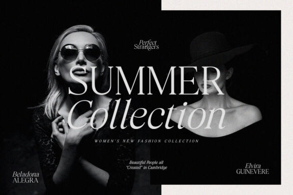Perfect Strangers I Elegant Serif
