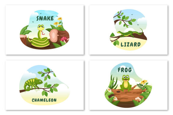 10 Set of Animal Reptile Illustration