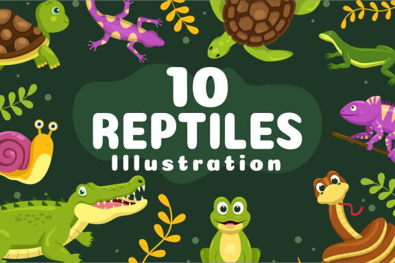 10 Set of Animal Reptile Illustration