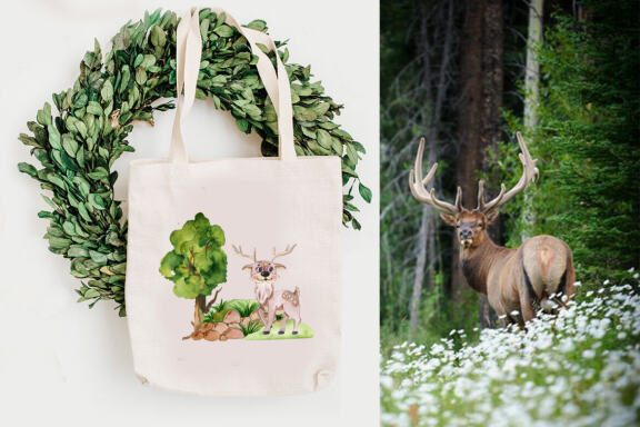 Woodland animals clipart. Forest cute baby animals clipart