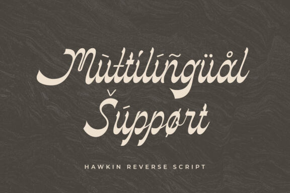 Hawkin - Reverse Contrast Script