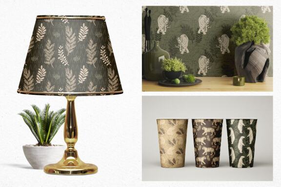 A Path Through the Jungle Collection