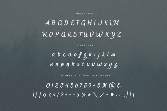 Rockstar Brush Script