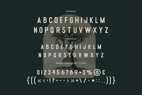 Flow Rounded Sans Family