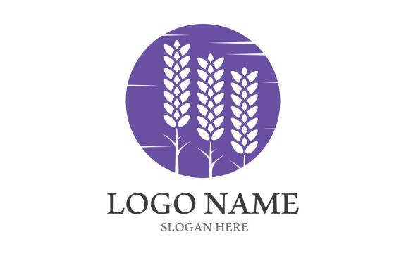 Lavender flower beauty and cosmetic logo vector image
