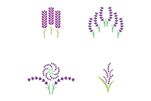 Lavender flower beauty and cosmetic logo vector image