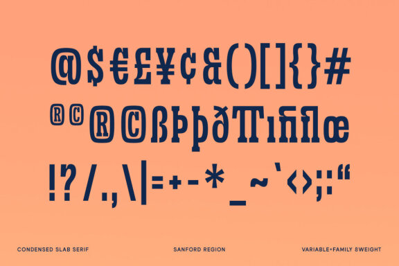 Sanford Region - Variable Font