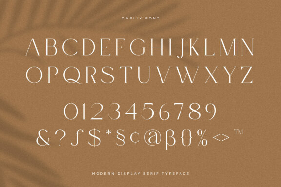 Carlly FREE Demo Font