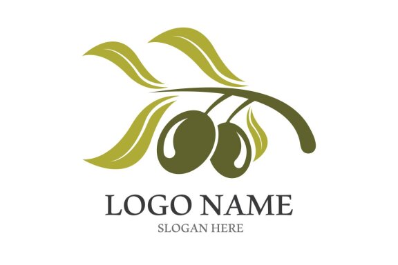 Extra virgin olive oil logo design vector illustration