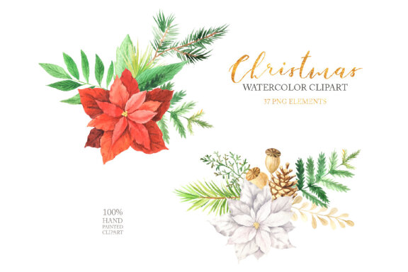Watercolor Christmas Floral Clipart