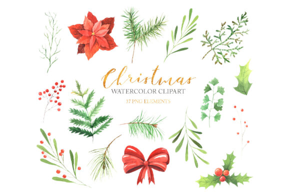 Watercolor Christmas Floral Clipart