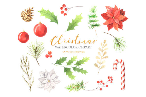 Watercolor Christmas Floral Clipart