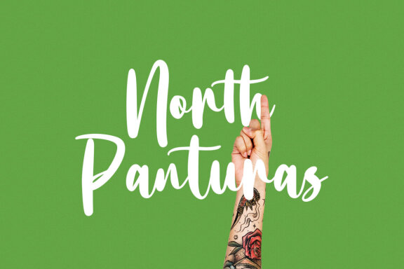 Bottairs FREE Script Font
