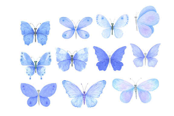 Watercolor Blue Butterfly Clipart