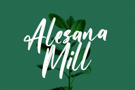 Simstary Brush Script Font