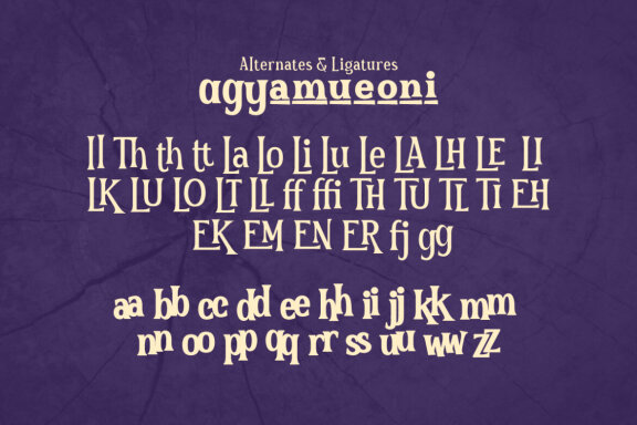 The Hoca – Display Serif Font