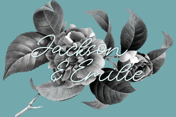 NCL SIOST QUICKER - Unique Monoline