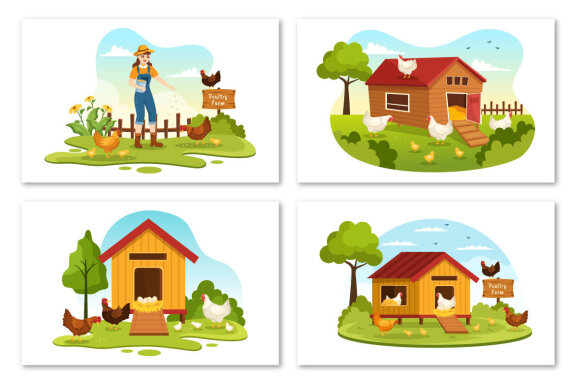 17 Poultry Farm Design Illustration