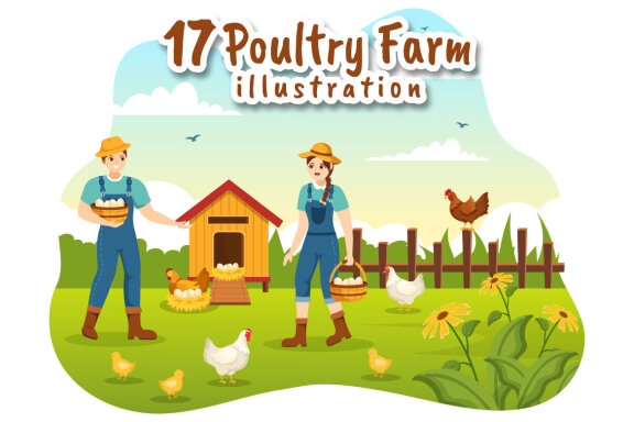 17 Poultry Farm Design Illustration