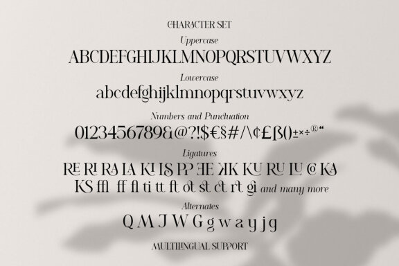 Romelu Vomelu - Modern Serif