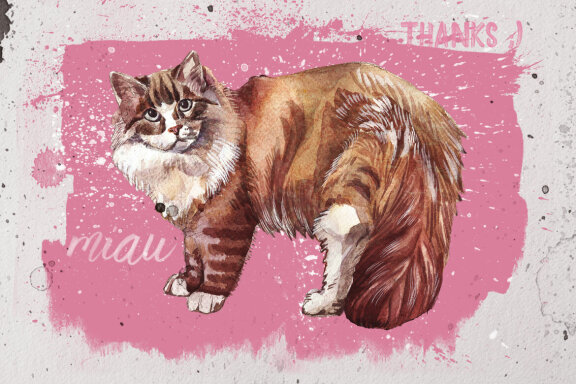 Beautiful Realistic Watercolor Cats