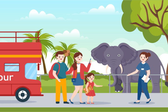 10 Travel Guide and Tour Illustration