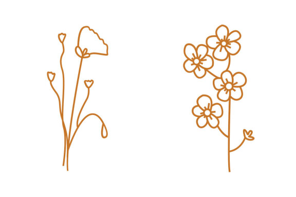 Line Floral Illustration