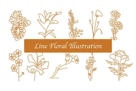 Line Floral Illustration