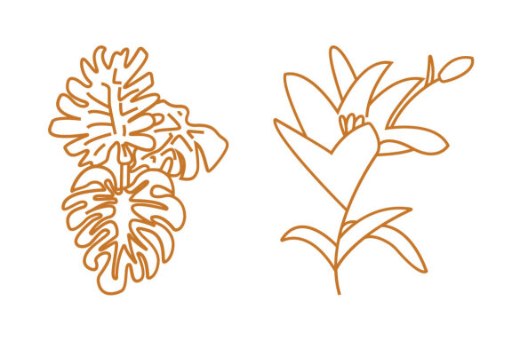 Line Floral Illustration