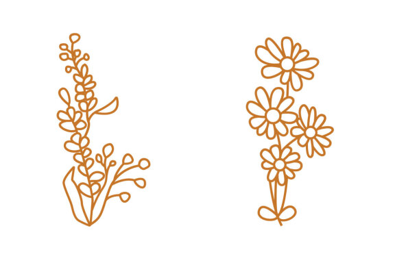 Line Floral Illustration