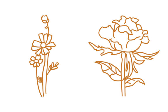 Line Floral Illustration
