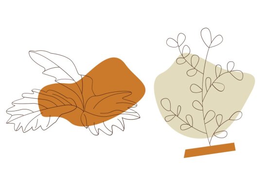 Line Floral Abstract Illustration