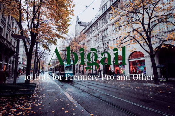 10 Luts for Premiere Pro and Other