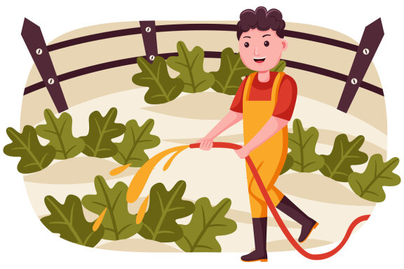 Farm Vector Illustration #08