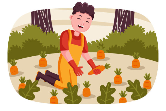 Farm Vector Illustration #12