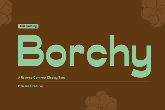 Borchy Reverse Contrast Display Sans Font