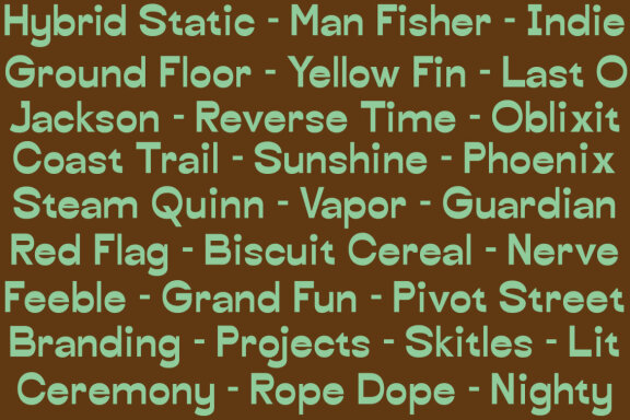 Borchy Reverse Contrast Display Sans Font