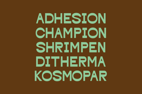 Borchy Reverse Contrast Display Sans Font