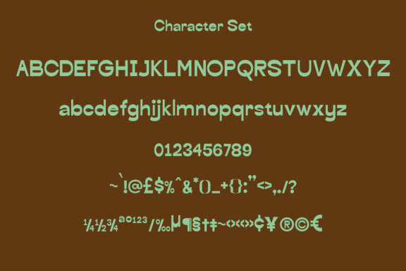 Borchy Reverse Contrast Display Sans Font